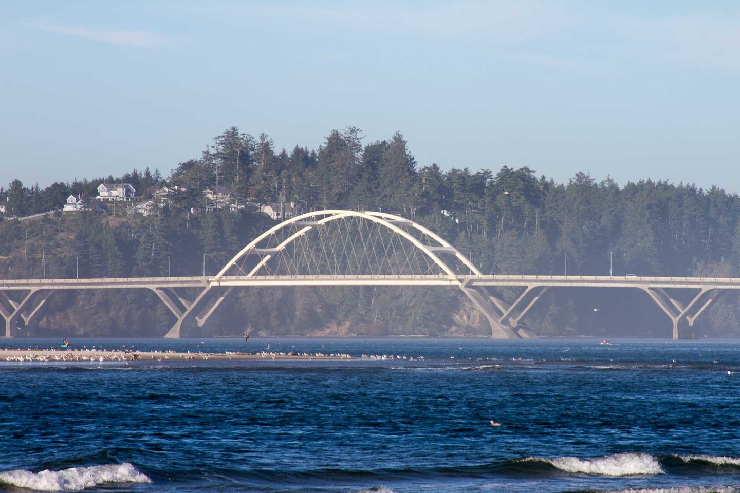 Watch seabirds soar as tides ebb and flow