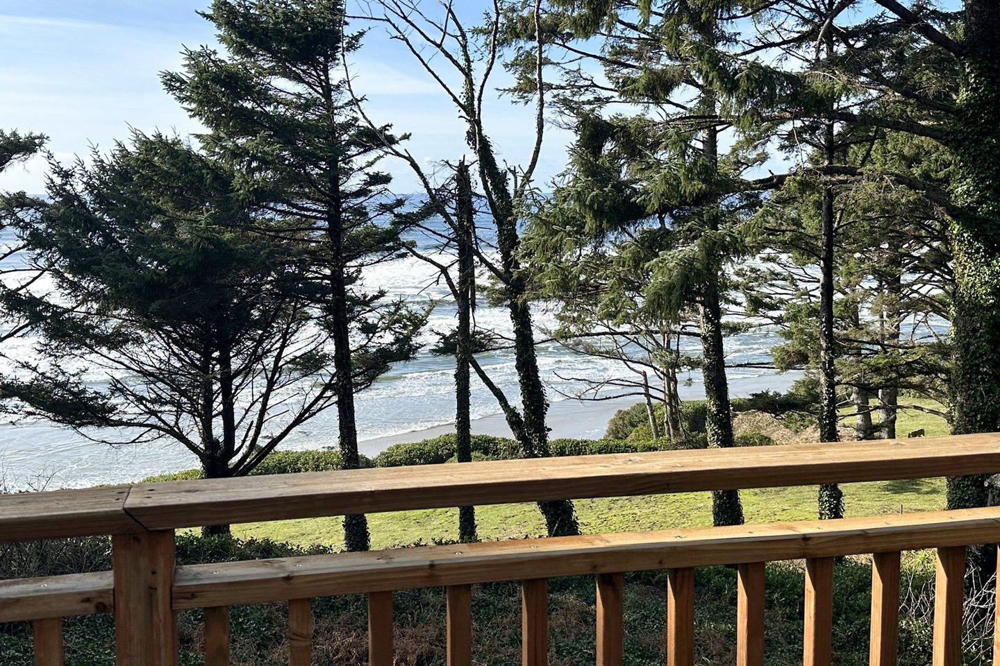 Ocean and trees are so relaxing.