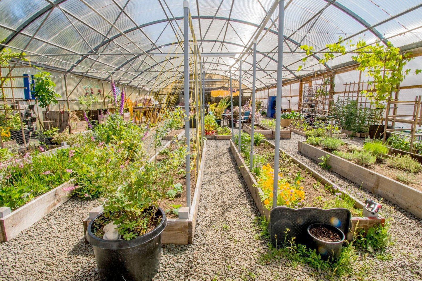 Community garden is a relaxing location for a stroll rain or shine